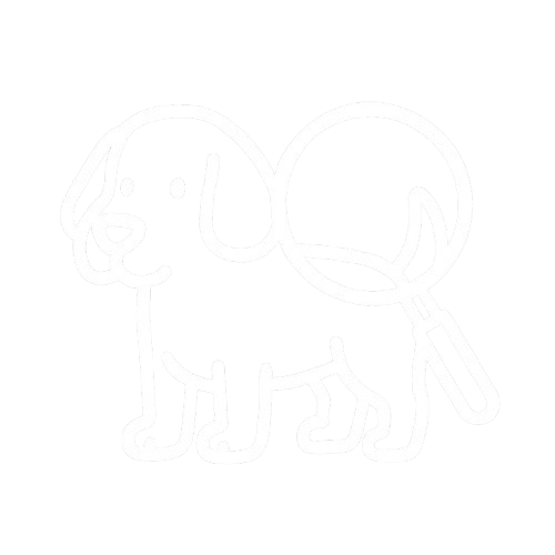 dog sitter chien
